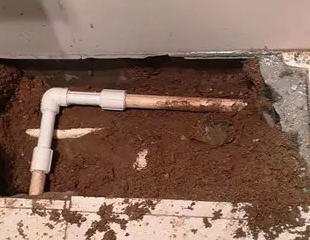 赞皇测漏水哪家好