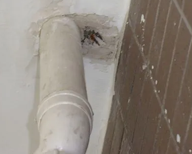 赞皇漏水检测哪家好